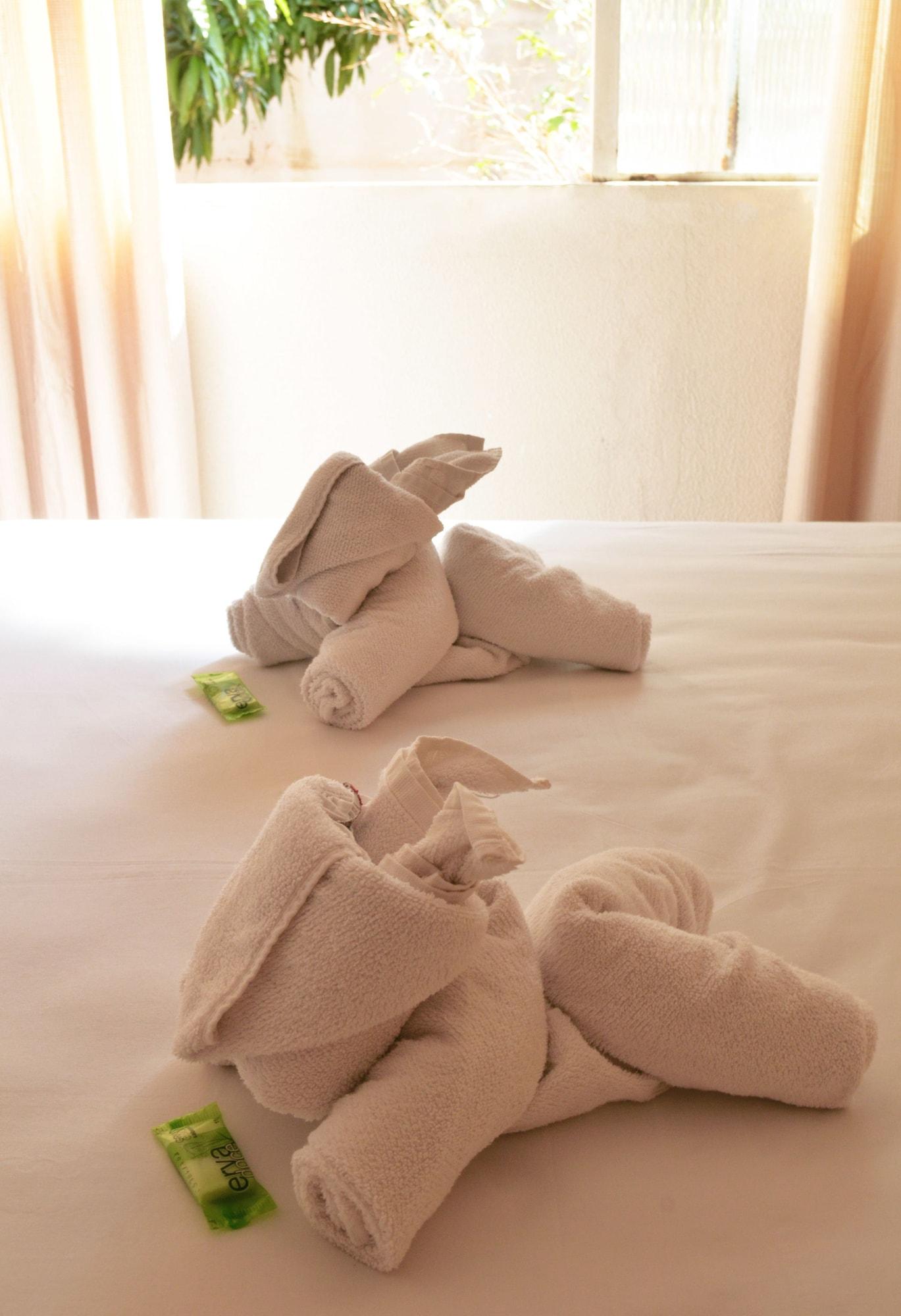 Iguacu Plaza Hotel 伊瓜苏 外观 照片